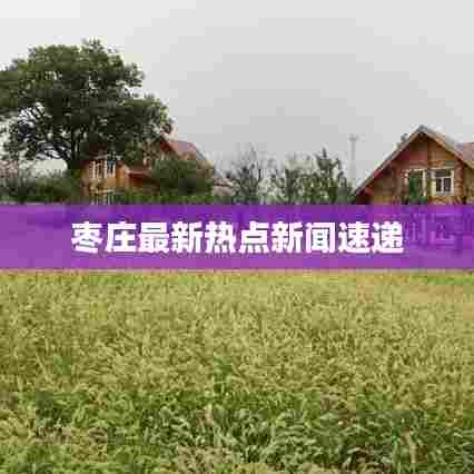 枣庄最新热点新闻速递