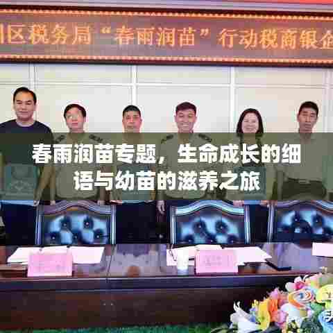 金石为开 第7页