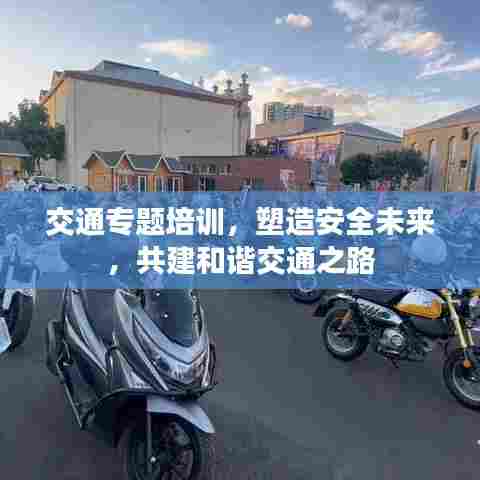 交通专题培训，塑造安全未来，共建和谐交通之路