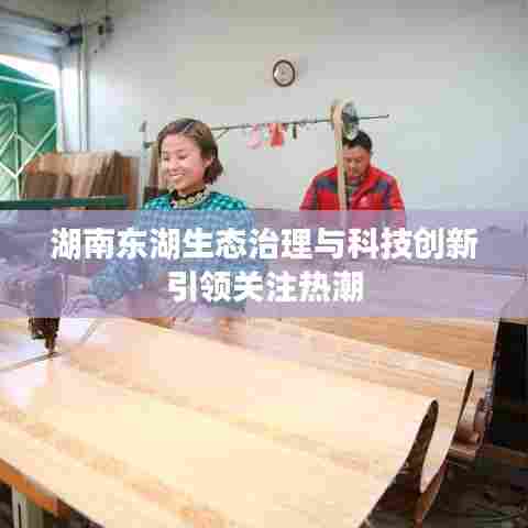 湖南东湖生态治理与科技创新引领关注热潮
