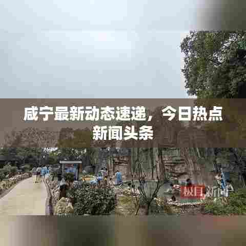 咸宁最新动态速递，今日热点新闻头条