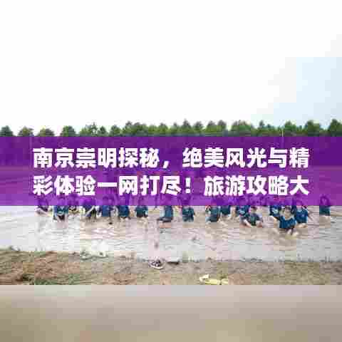南京崇明探秘，绝美风光与精彩体验一网打尽！旅游攻略大揭秘！
