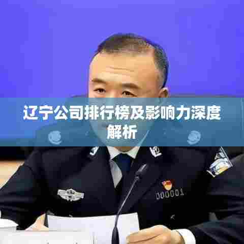 辽宁公司排行榜及影响力深度解析