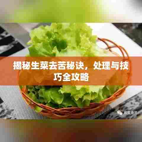 揭秘生菜去苦秘诀，处理与技巧全攻略