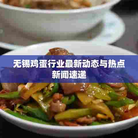 无锡鸡蛋行业最新动态与热点新闻速递