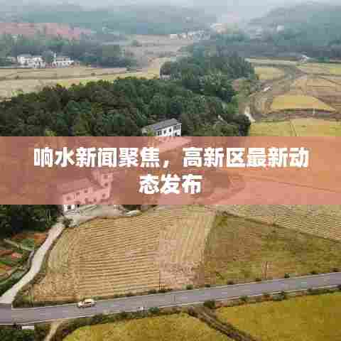 响水新闻聚焦，高新区最新动态发布