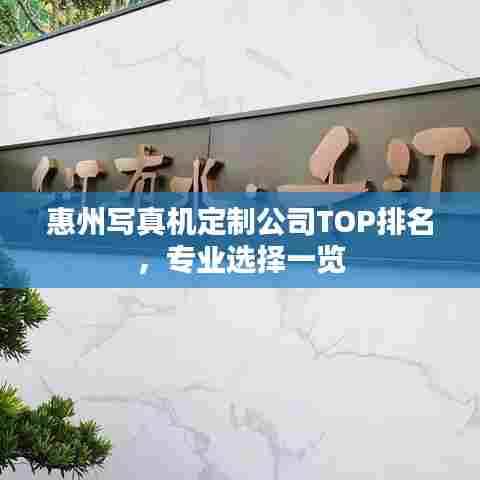 惠州写真机定制公司TOP排名，专业选择一览