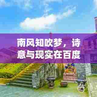 南风知吹梦，诗意与现实在百度搜索结果中的交融深度解析