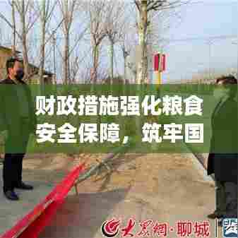 财政措施强化粮食安全保障，筑牢国家粮食安全防线