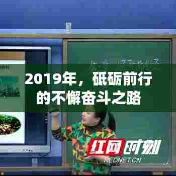 2019年，砥砺前行的不懈奋斗之路