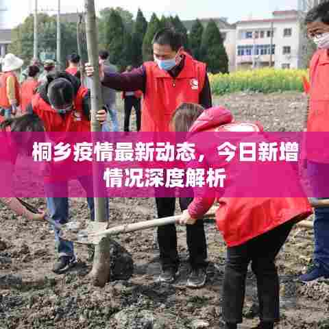 桐乡疫情最新动态，今日新增情况深度解析