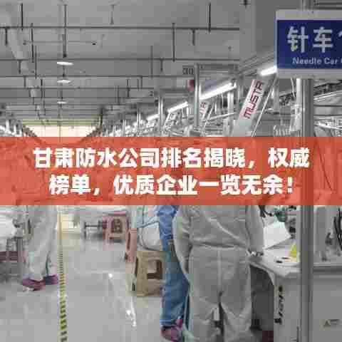 甘肃防水公司排名揭晓，权威榜单，优质企业一览无余！