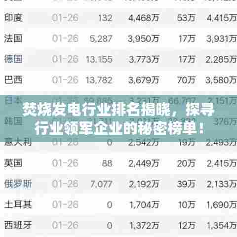 焚烧发电行业排名揭晓，探寻行业领军企业的秘密榜单！