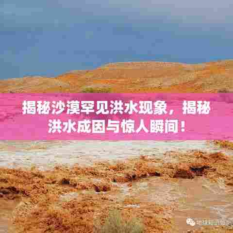 揭秘沙漠罕见洪水现象，揭秘洪水成因与惊人瞬间！