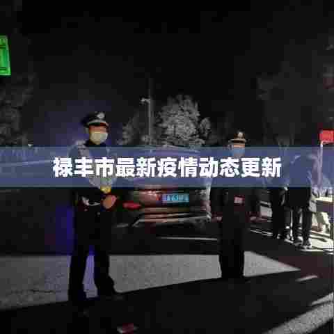 禄丰市最新疫情动态更新