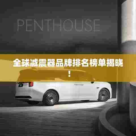 全球减震器品牌排名榜单揭晓！