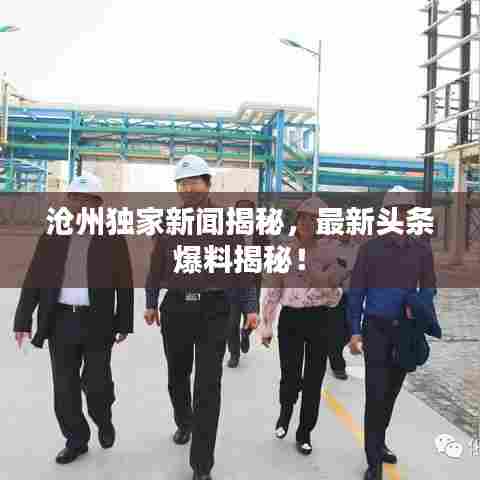 沧州独家新闻揭秘，最新头条爆料揭秘！