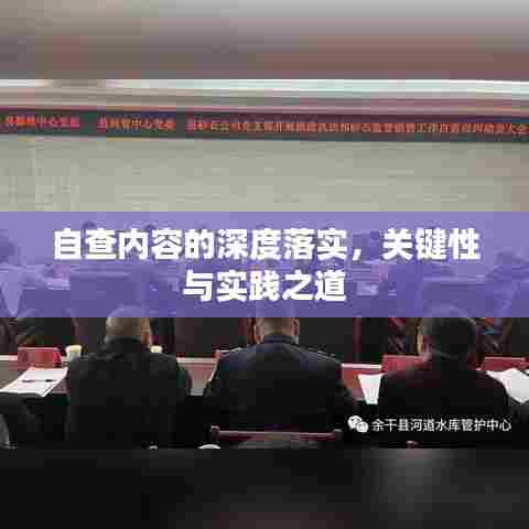 自查内容的深度落实，关键性与实践之道