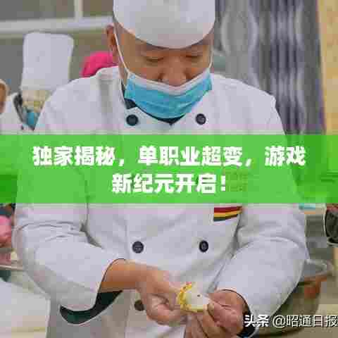 独家揭秘，单职业超变，游戏新纪元开启！