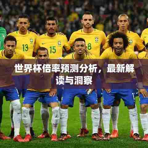 世界杯倍率预测分析，最新解读与洞察