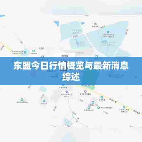 东盟今日行情概览与最新消息综述