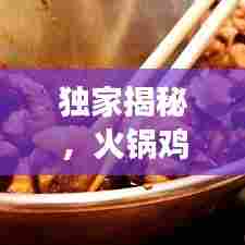 独家揭秘，火锅鸡独特魅力与背后故事