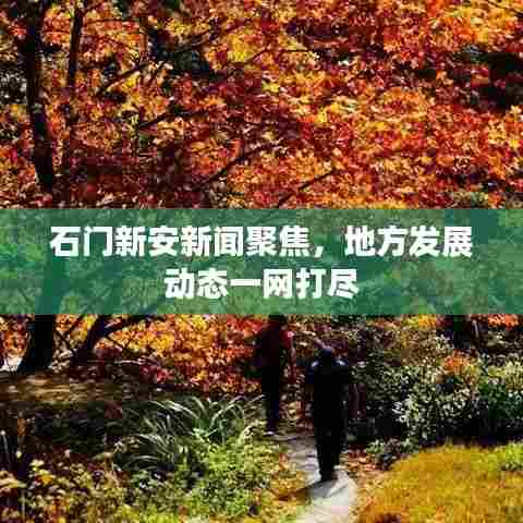 石门新安新闻聚焦，地方发展动态一网打尽