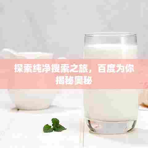 探索纯净搜索之旅，百度为你揭秘奥秘