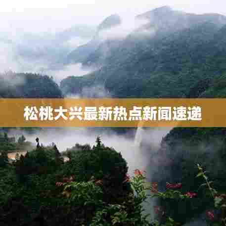 松桃大兴最新热点新闻速递
