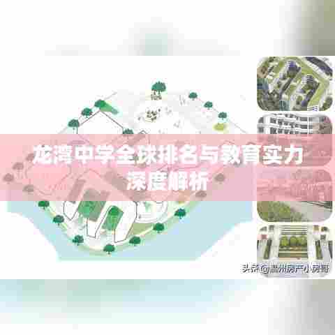 龙湾中学全球排名与教育实力深度解析