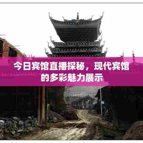今日宾馆直播探秘，现代宾馆的多彩魅力展示