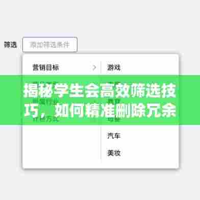 揭秘学生会高效筛选技巧，如何精准删除冗余信息与操作？