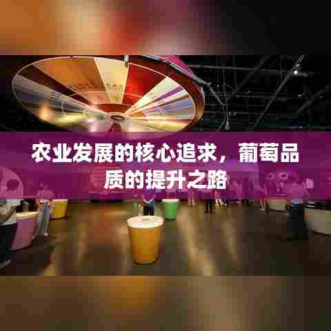 农业发展的核心追求，葡萄品质的提升之路