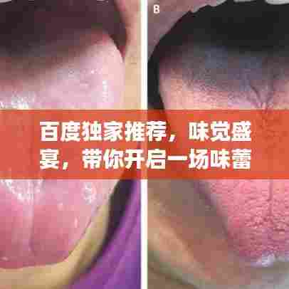 百度独家推荐，味觉盛宴，带你开启一场味蕾之旅！