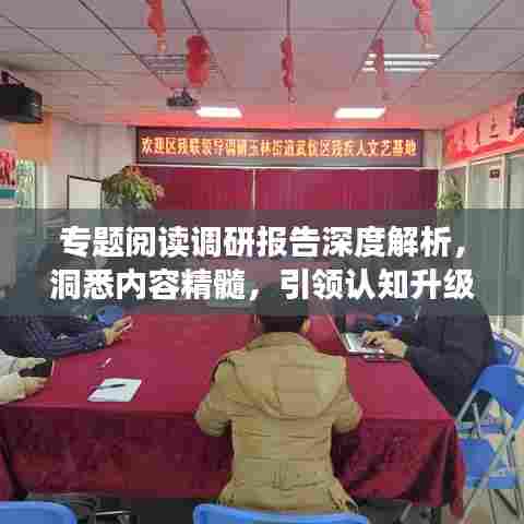 专题阅读调研报告深度解析，洞悉内容精髓，引领认知升级
