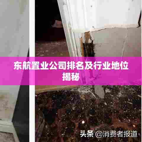 东航置业公司排名及行业地位揭秘