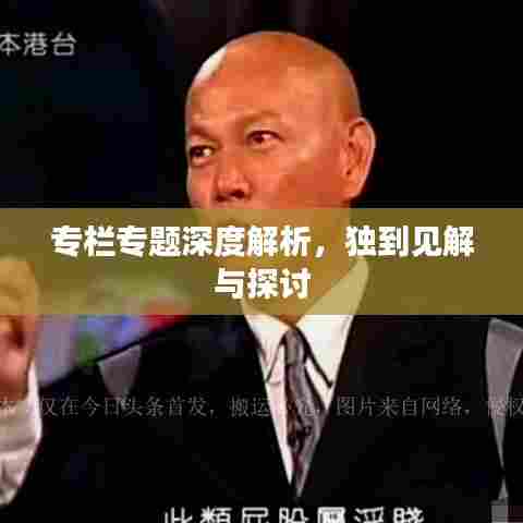 专栏专题深度解析，独到见解与探讨
