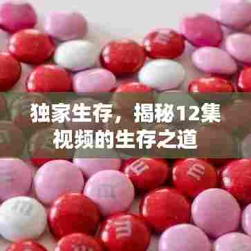 独家生存，揭秘12集视频的生存之道