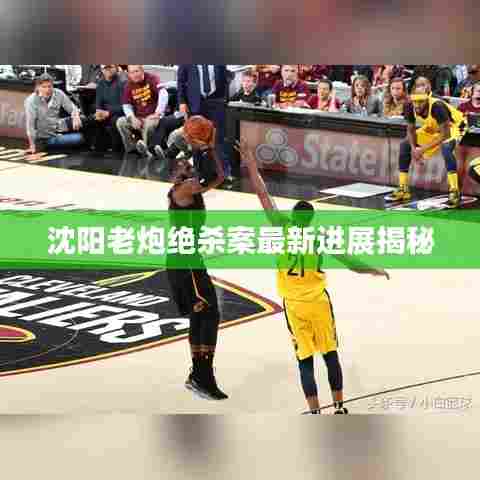 沈阳老炮绝杀案最新进展揭秘