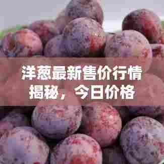 洋葱最新售价行情揭秘，今日价格走势一网打尽！
