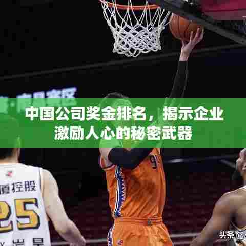 中国公司奖金排名，揭示企业激励人心的秘密武器