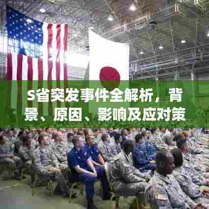 S省突发事件全解析，背景、原因、影响及应对策略