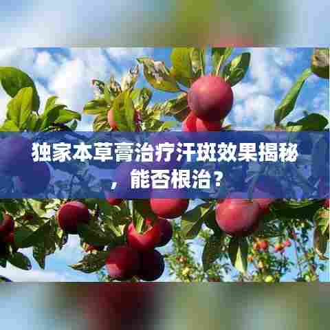 独家本草膏治疗汗斑效果揭秘，能否根治？