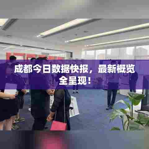 成都今日数据快报，最新概览全呈现！
