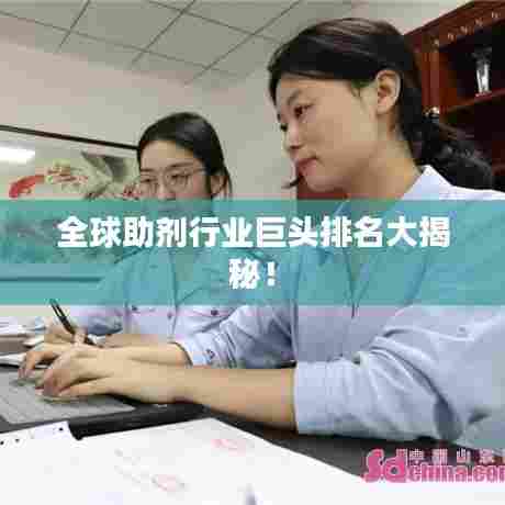 全球助剂行业巨头排名大揭秘！
