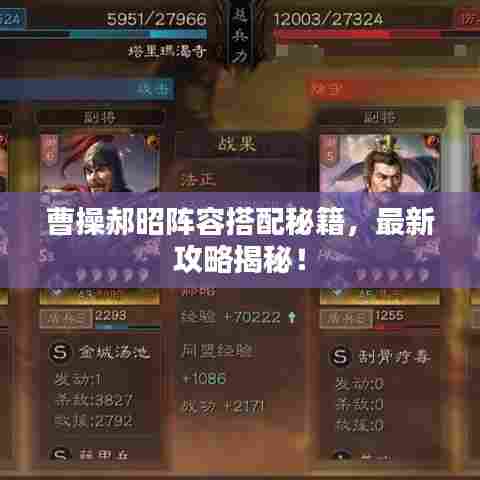 曹操郝昭阵容搭配秘籍，最新攻略揭秘！