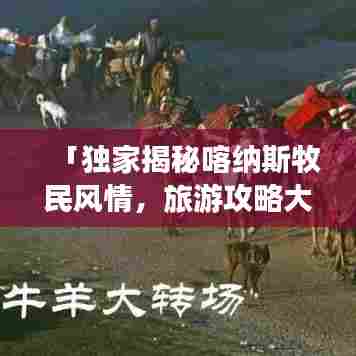 「独家揭秘喀纳斯牧民风情，旅游攻略大揭秘！」