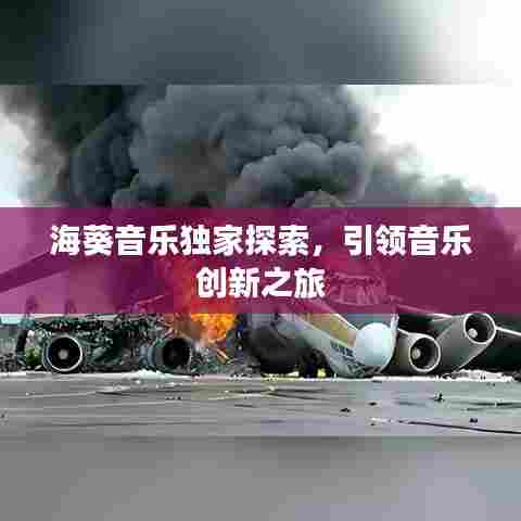 海葵音乐独家探索，引领音乐创新之旅