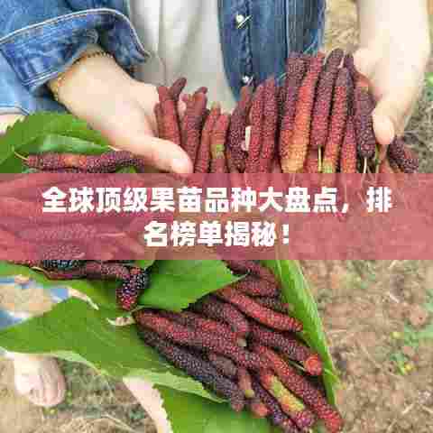 全球顶级果苗品种大盘点，排名榜单揭秘！