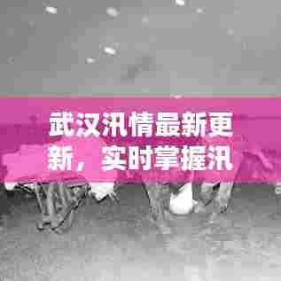 武汉汛情最新更新，实时掌握汛情动态